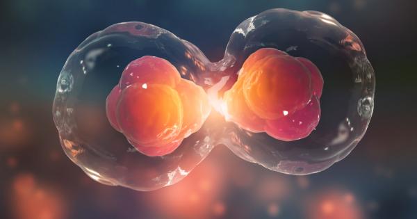 Както без съмнение знаете този уикенд предстои най новото издание на