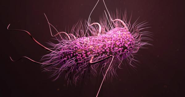 Изследователи от Швейцария планират да използват магнитни бактерии за борба