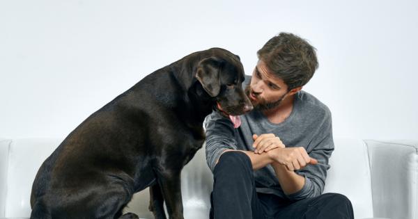 За страничен ннаблюдател хората които говорят с кучетата си изглеждат