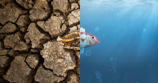 В разгара на безпрецедентната криза с Covid 19 пред която е