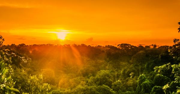 Учени предупреждават че ¾ от амазонската екваториална гора доближава момент
