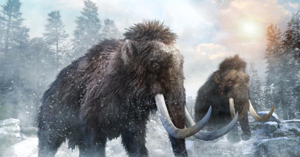 Археолози се натъкнаха на зловещи кръгове от кости създадени от