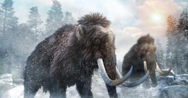 Група учени има план за връщане на вълнестите мамути в