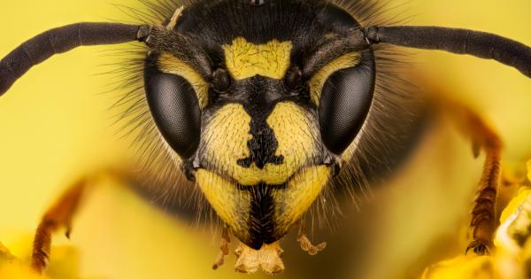 Американски и бразилски учени са получили токсичен протеин от отровата