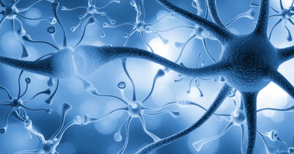 Ново изследване хвърля светлина върху сложното взаимодействие между клетъчните протеини