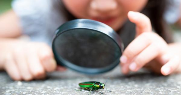 С идването на пролетта природата започва постепенно да се пробужда