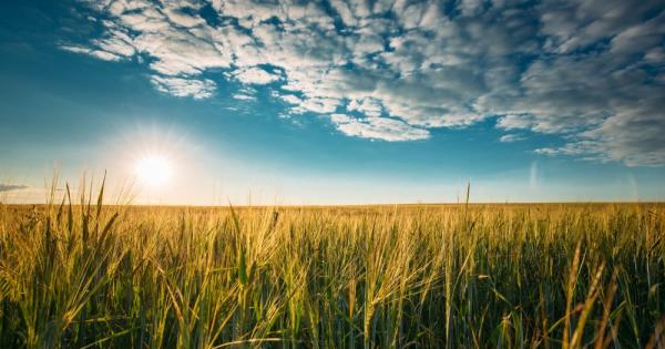 Юни 2022 г за голяма част от Европа е бил