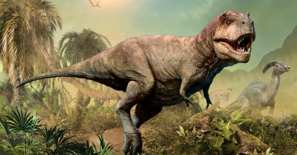 В повечето екосистеми с едно доста впечатляващо изключение има място