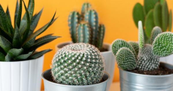 Учени от отдела по химично инженерство на Пхоханския университет Република