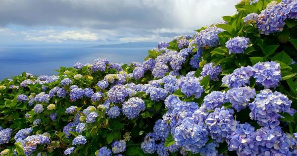Статията описва как измененията в концентрацията на въглероден диоксид и