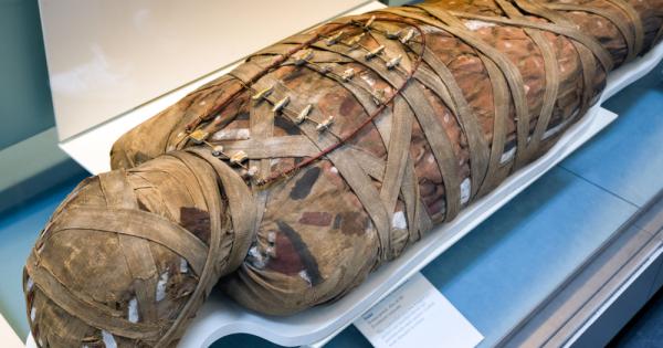 Археолози се натъкнаха на приблизително 40 мумии 10 от които