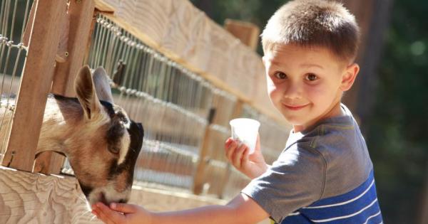 Ако сте от родителите на малки ученици със сигурност вече