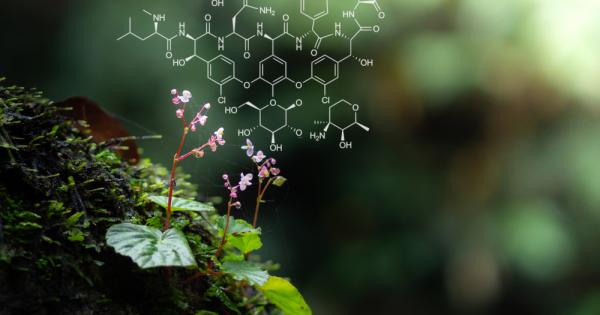 Учени предлагат коренно нов природен закон надграждащ този за еволюцията