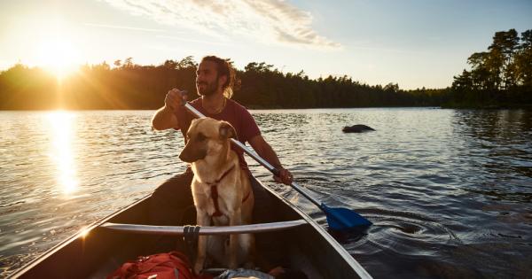 Скандинавците се налагат през последните години като едни от най щастливите