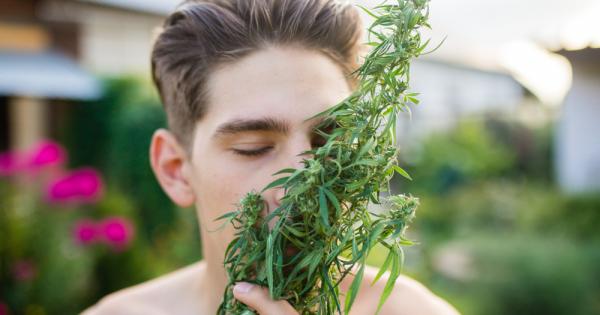 Няма две мнения по въпроса – канабисът вони Лошо няма