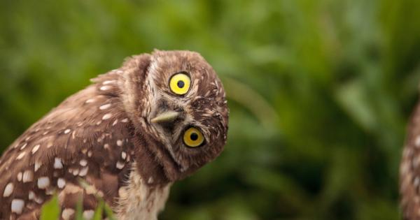 1 Най скъпата филмова продукция е Карибски пирати В непознати води