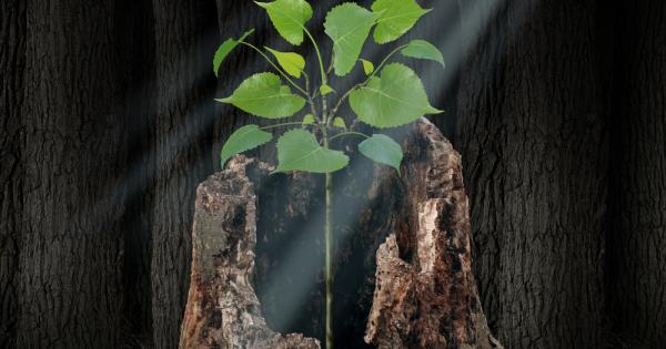 Това което най много ни тежи е бремето на отговорността пред