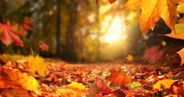 Средните месечни температури през изтичащия октомври са между 11 и