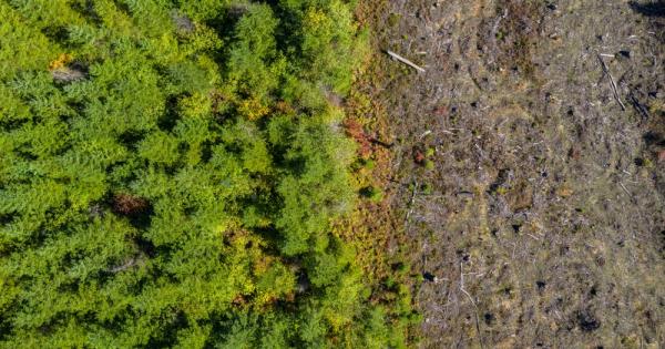 Богатството на света е изградено върху основите на естествените екосистеми