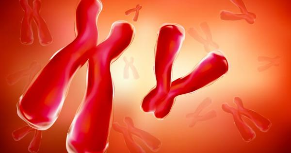 Загубата на Y хромозомата в определени клетки би могло да