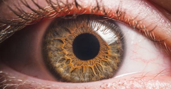 Казват че очите са прозорец към душата Ново изследване обаче