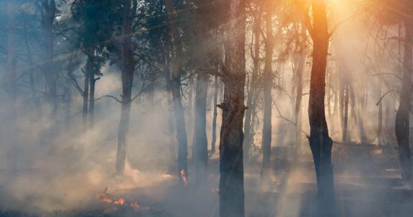 2022 г беше рекордно топла година за страните от Западна