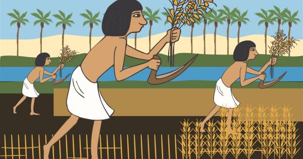 Ново проучване разкрива с какво са се хранили хората преди