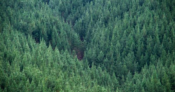 Веднъж щом трусовете приключат последиците от земетресенията могат да бъдат