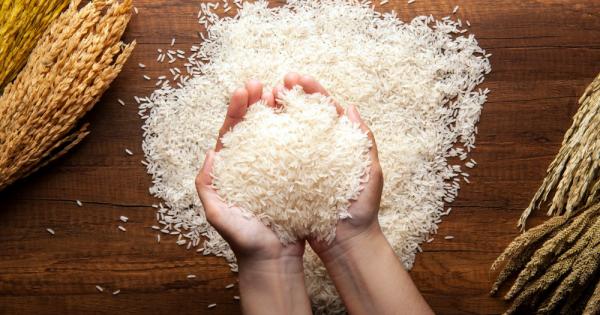 За една градина е важен балансът Снимка Joshua Resnick Shutterstock