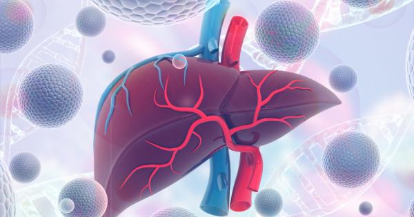 Човешкият черен дроб остава млад въпреки че останалата част от