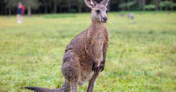 Вероятно си мислите че скок от 3 4 метра е истински