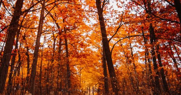 Средната температура през октомври 2020 г в глобален аспект е