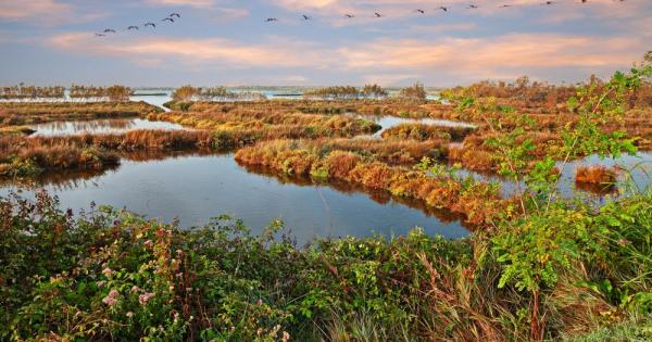 Суша и необичайно горещо време са увеличили солеността в най голямата