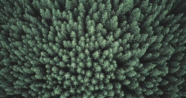 Въпросът как човешката дейност се отразява върху състоянието на околната