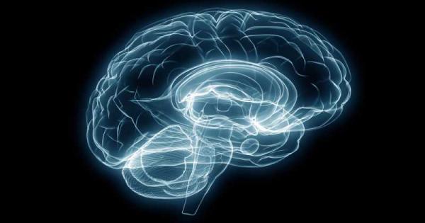 Определена част от човешкия ум отговаря за ежедневните решения свързани