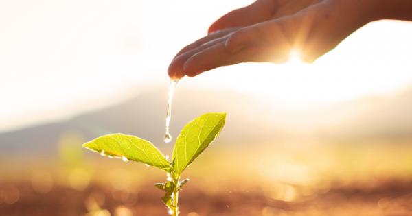 В плодородната пролетна почва две семена лежали едно до друго