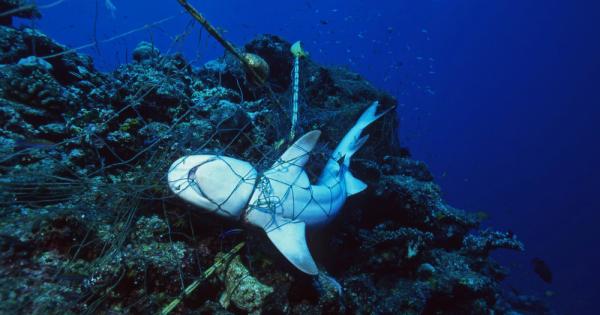 Всяка година милиарди куки милиони капани и стотици хиляди километри