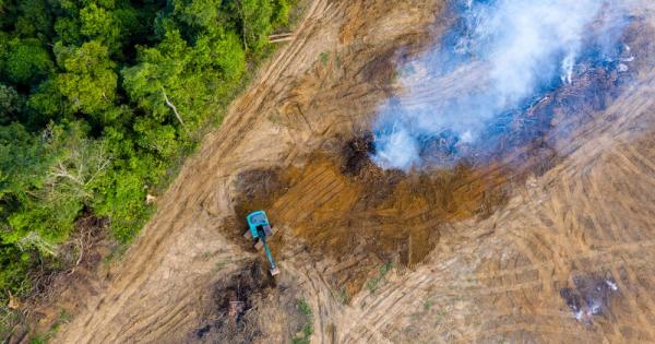 Доклад на Global Witness показва че през 2020 г са