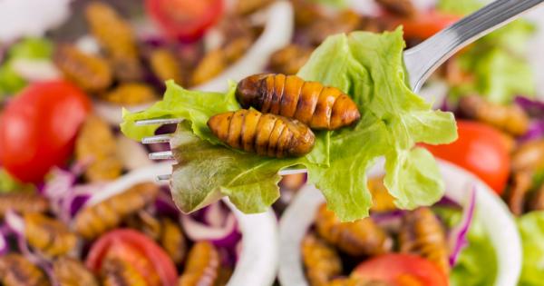 Буболечки микроводорасли и бактерии изникват като здравословни и екологични алтернативи