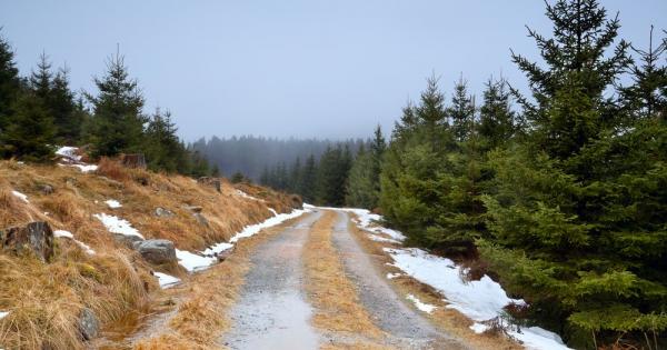 Януари 2022 г – по топъл за голяма част от света