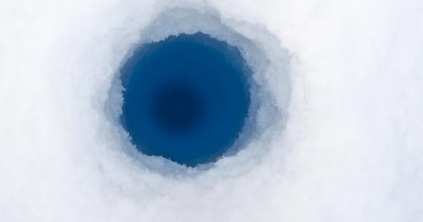 Водите под Антарктика са сред най негостоприемните места за живот на