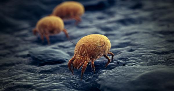 Кое е най силното животно в света Слонът Мечката Лъвът Не нито едно