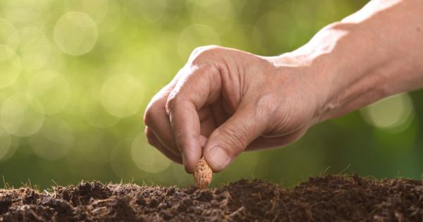 Имало едно време император в Далечения изток който когаго остарял
