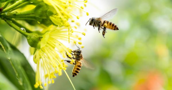 Светът е изгубил над 1 4 от насекомите си през последните