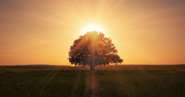 Запишете на лист следните 25 правила в 5 групи по