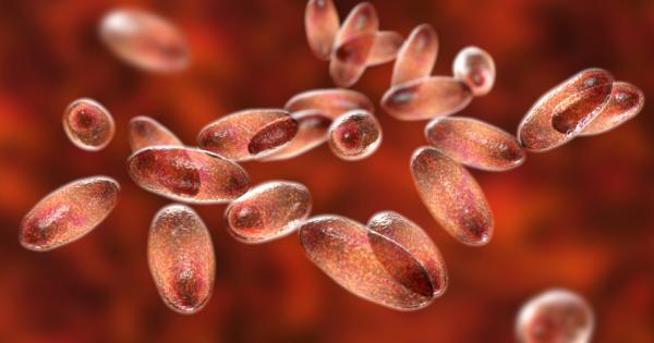 Учени документираха откритието на нов устойчив на антибиотик щам на Yersinia pestis