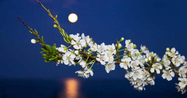 На 7 май ще можем да наблюдаваме последната Суперлуна за