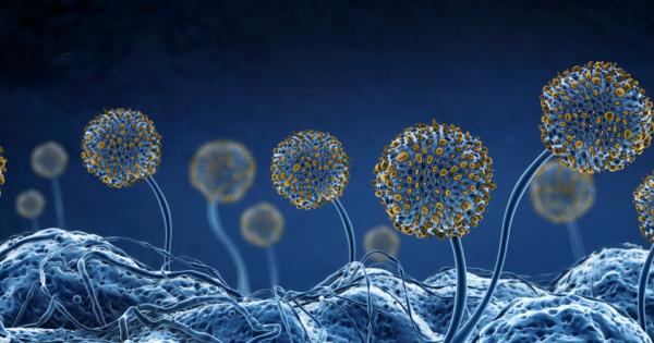 Отхапали сте по недоглеждане парче от мухлясалия хляб Това наистина