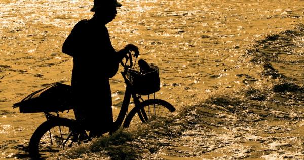 Това лято големи части от Европа и САЩ се борят