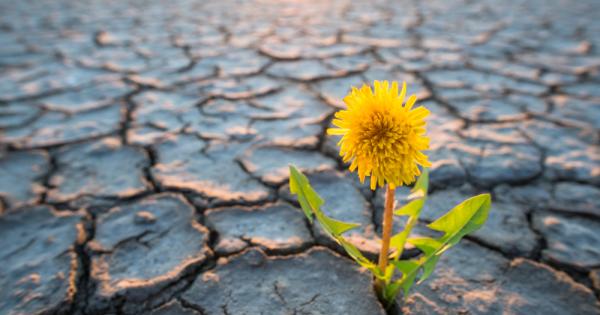 Тази разтърсваща творба трябва задължително да се прочете два пъти Защо